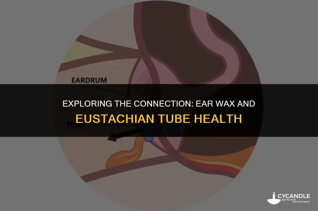 does ear wax get in the eustation tube
