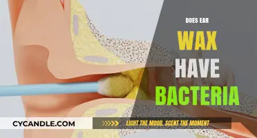 Exploring the Microbial Mysteries of Ear Wax: A Closer Look