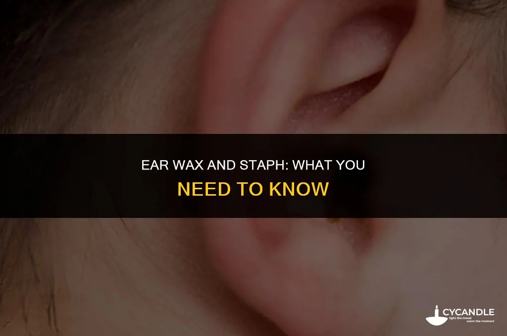 does ear wax have staph