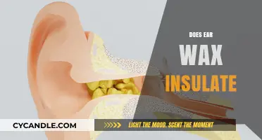 The Surprising Truth About Earwax: Nature's Insulator Revealed