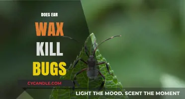The Surprising Truth About Earwax and Its Bug-Killing Powers