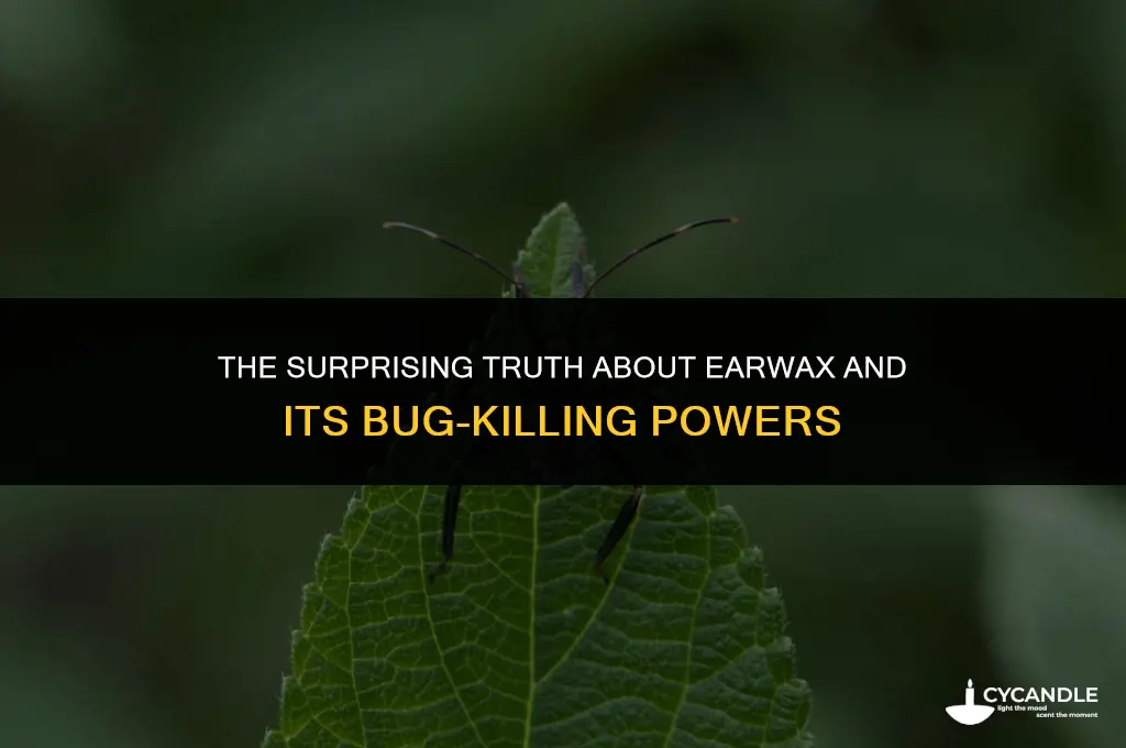does ear wax kill bugs