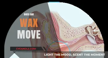 The Surprising Journey of Earwax: Does It Really Move?