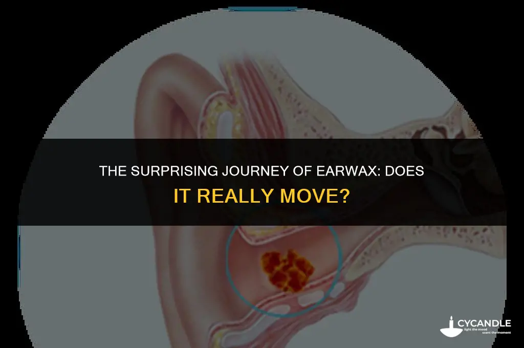 does ear wax move