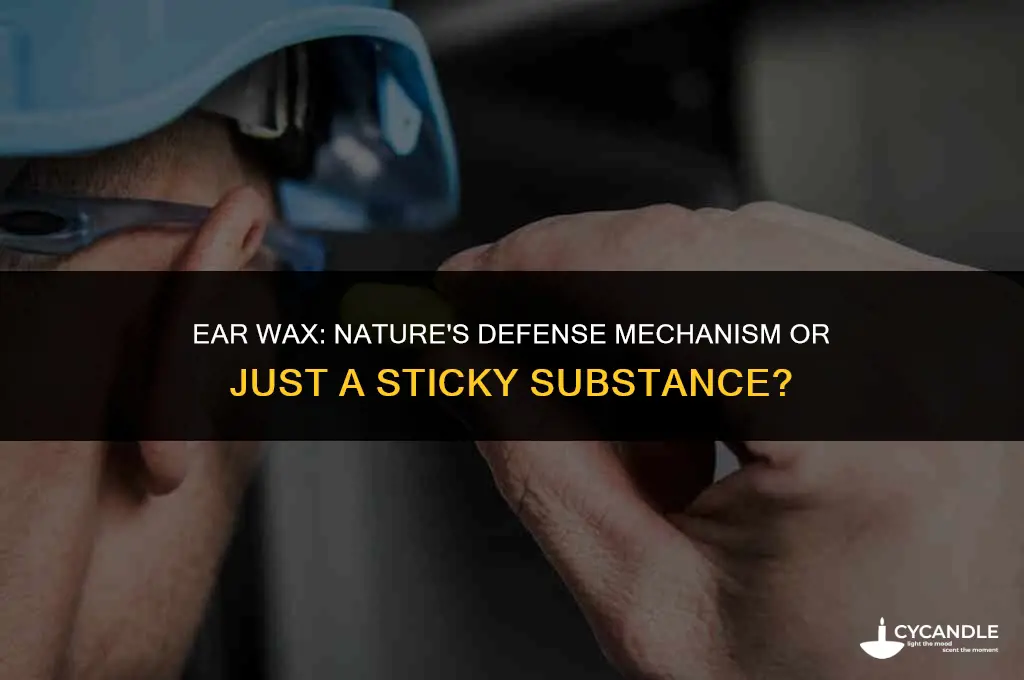 does ear wax protect you