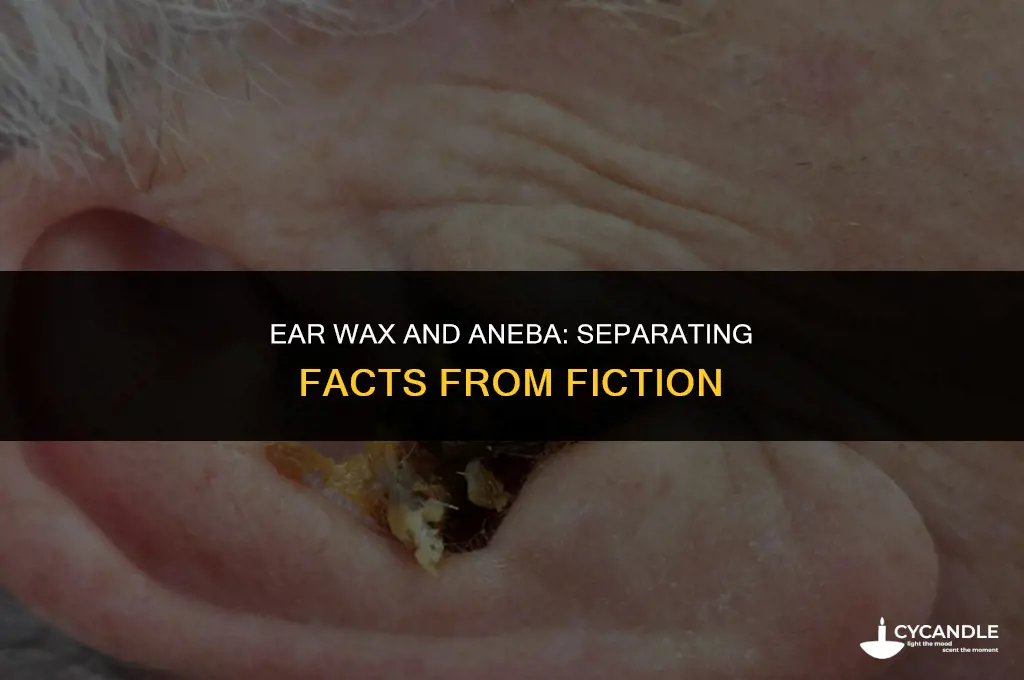 does ear wax stop aneba