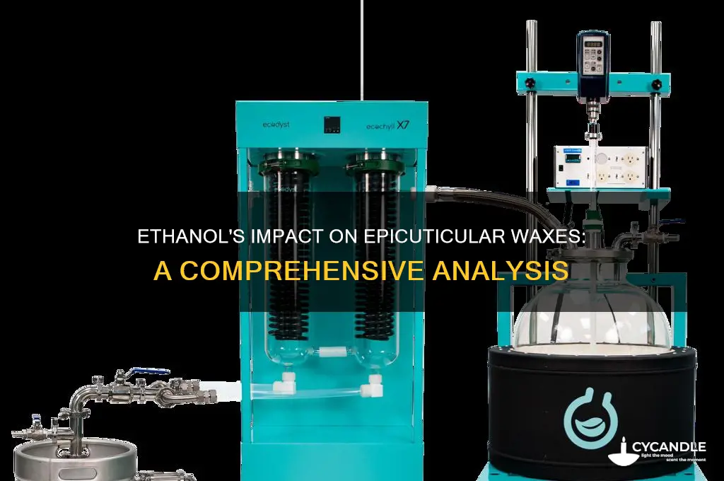 does ethanol remove epicuticular waxes