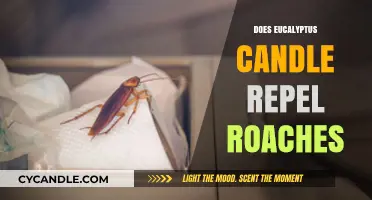 Eucalyptus Candles: Effective Roach Repellent or Old Wives' Tale?