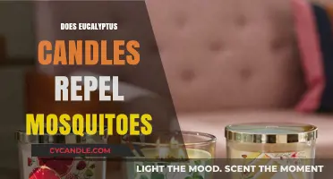 Eucalyptus Candles: Natural Mosquito Repellent or Myth?