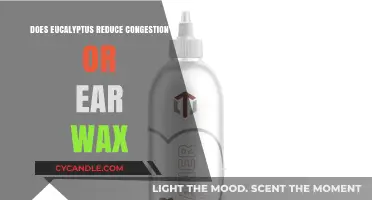 Natural Remedies: Eucalyptus Oil for Congestion and Ear Wax Relief