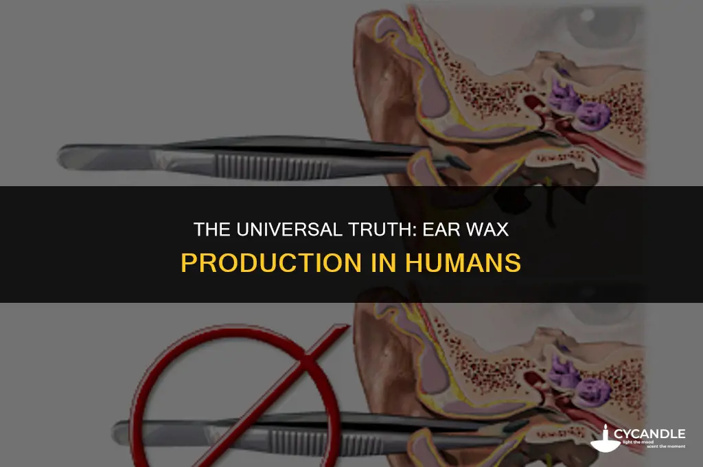 does everyone produce ear wax