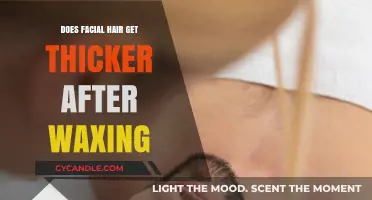 The Truth About Facial Hair: Does Waxing Really Make It Thicker?