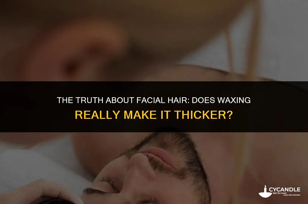 does facial hair get thicker after waxing