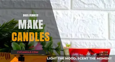 Does Febreze Make Candles? Exploring Scents and Product Lines