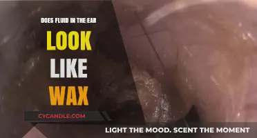 Ear Fluid vs. Wax: Understanding the Appearance and Differences