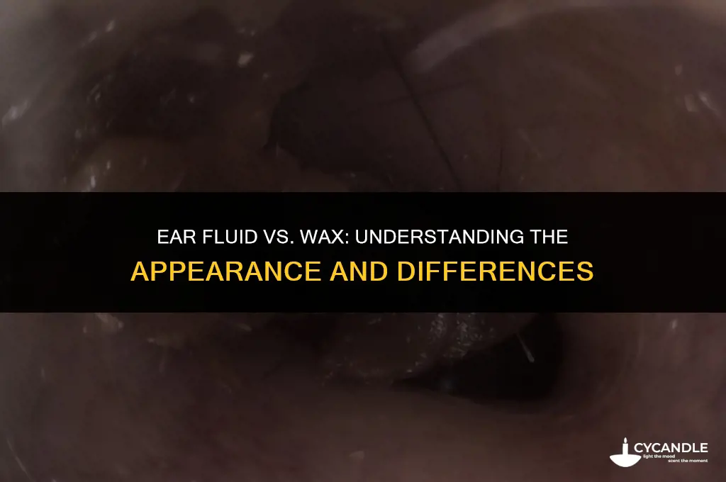 does fluid in the ear look like wax