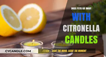 Citronella Candles: Effective Fly Repellent or Myth?