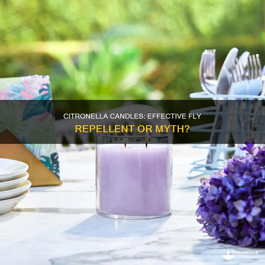 does flys go away with citronella candles