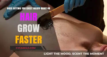 The Truth About Chest Waxing: Does It Really Boost Hair Growth?