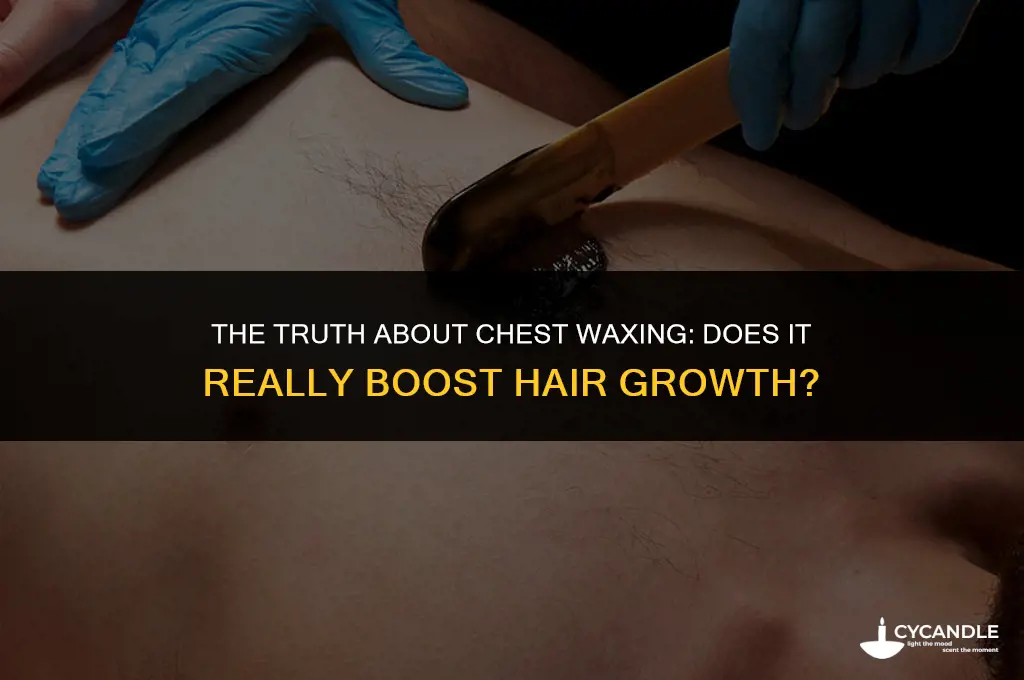 does getting you chest waxed make ur hair grow faster