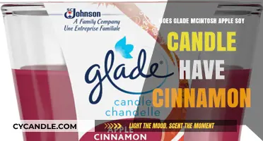 Glade McIntosh Apple Soy Candle: Cinnamon-Free Delight