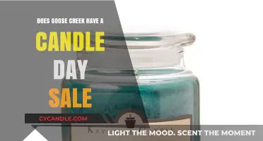 Goose Creek's Candle Day Sale: What to Expect
