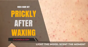 Smooth Sailing or Prickly Predicament? The Truth About Post-Waxing Hair