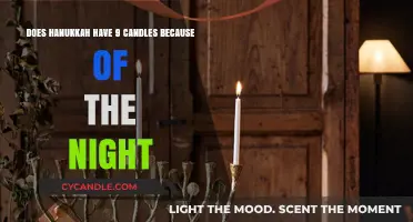The Festival of Lights: Hanukkah's Nine Candles Explained