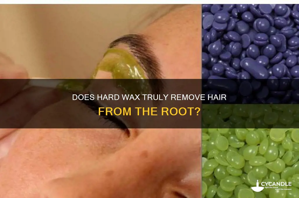 does hard wax not remove hair root