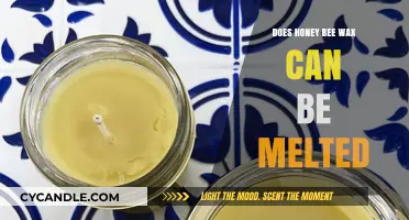 Can Honey Bee Wax Be Melted? A Complete Guide to Melting Beeswax