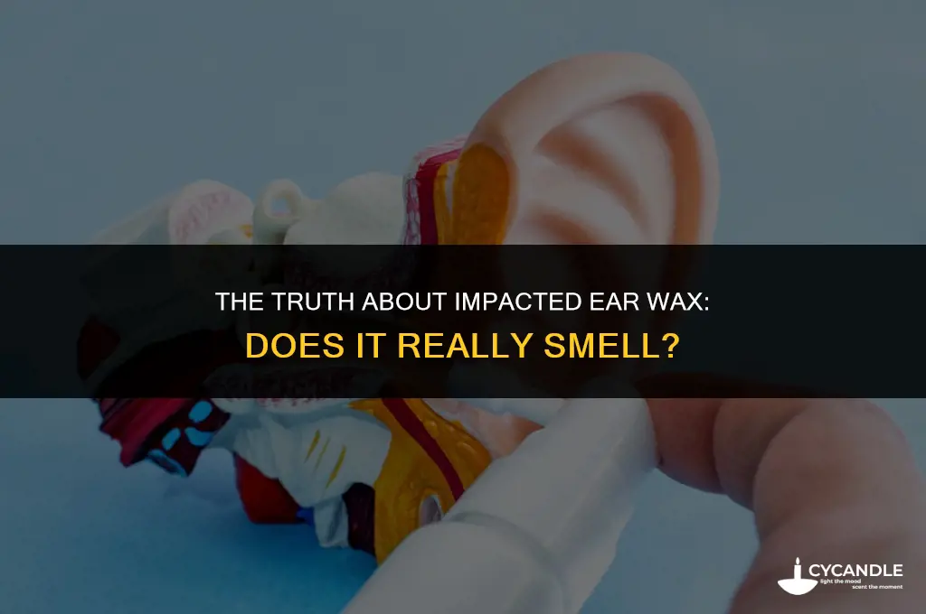 does impacted ear wax smell