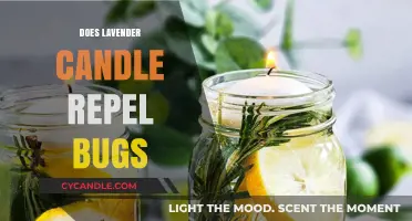 Lavender Candles: Natural Bug Repellent or Myth?