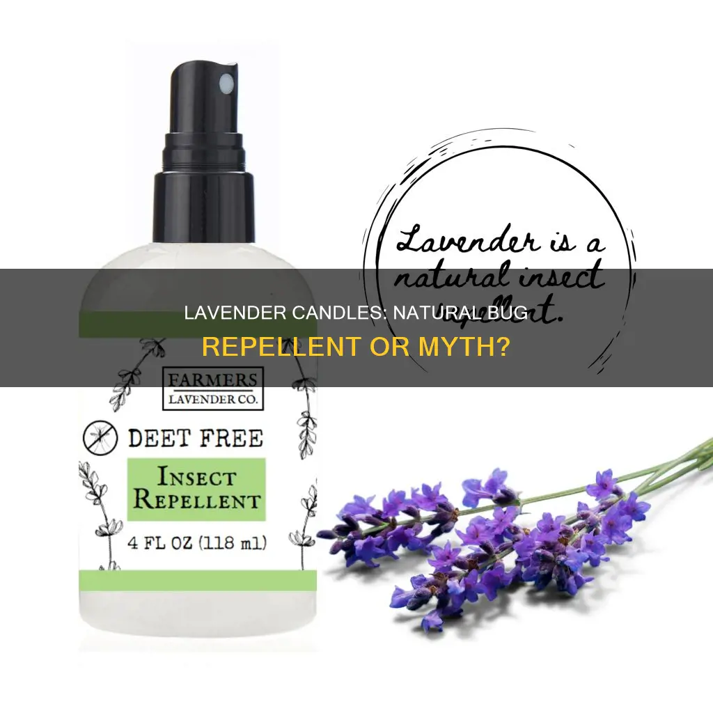 does lavender candle repel bugs