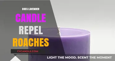 Lavender Candles: Effective Roach Repellent or Myth?