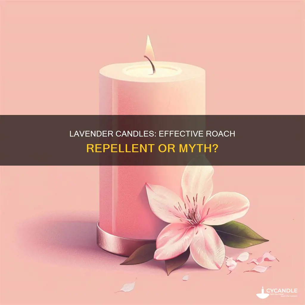 does lavender candle repel roaches