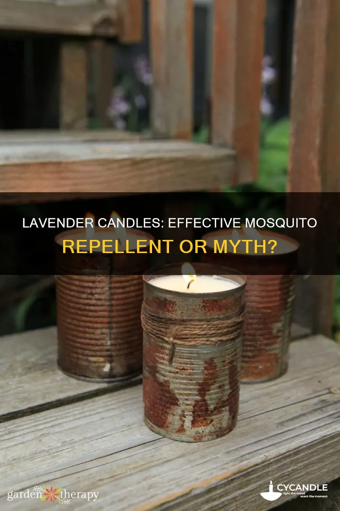 does lavender candles repel mosquitoes