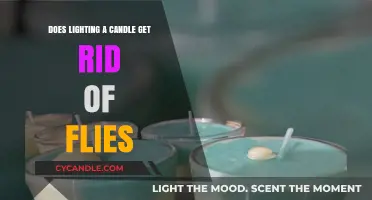 Candlelight Fly Repellent: Myth or Effective Pest Control Solution?