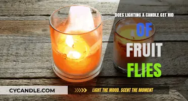 Candle Light vs. Fruit Flies: Effective Solution or Myth?