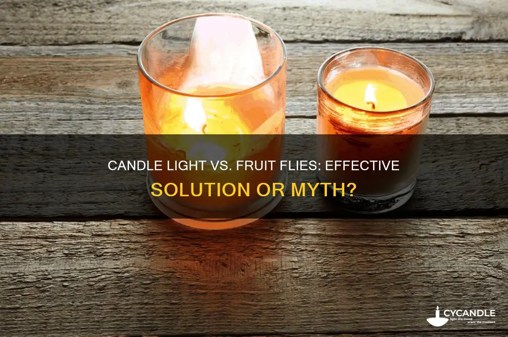 does lighting a candle get rid of fruit flies