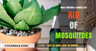 Candlelight vs. Mosquitoes: Does Lighting a Candle Really Help?