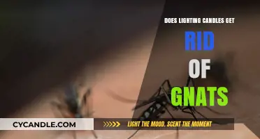 Candle Power: Can Lighting Candles Effectively Eliminate Gnats?