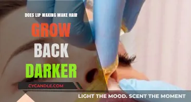 Does Lip Waxing Cause Hair to Grow Back Darker?