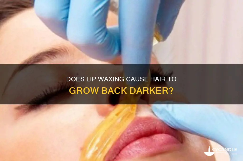 does lip waxing make hair grow back darker