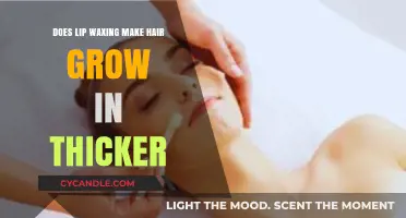 Does Lip Waxing Thicken Hair Growth? Debunking the Myth