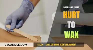 The Truth About Waxing Long Pubes: Pain Management Tips