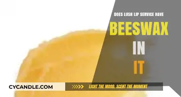 Does Lush Lip Service Contain Beeswax? Ingredients Breakdown