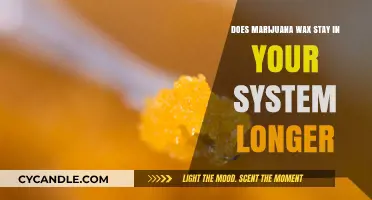 Exploring the Duration of Marijuana Wax in Your System