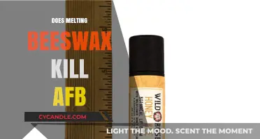 Melting Beeswax: Does It Kill American Foulbrood (AFB)?