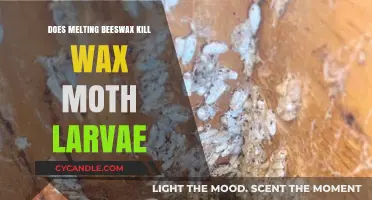Melting Beeswax: Does It Effectively Eliminate Wax Moth Larvae?