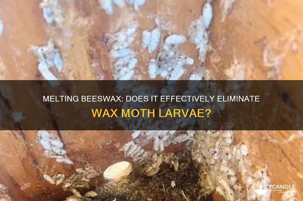 does melting beeswax kill wax moth larvae